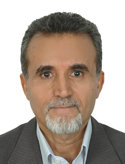 الأستاذ الدكتور/ أحمد الجمّال